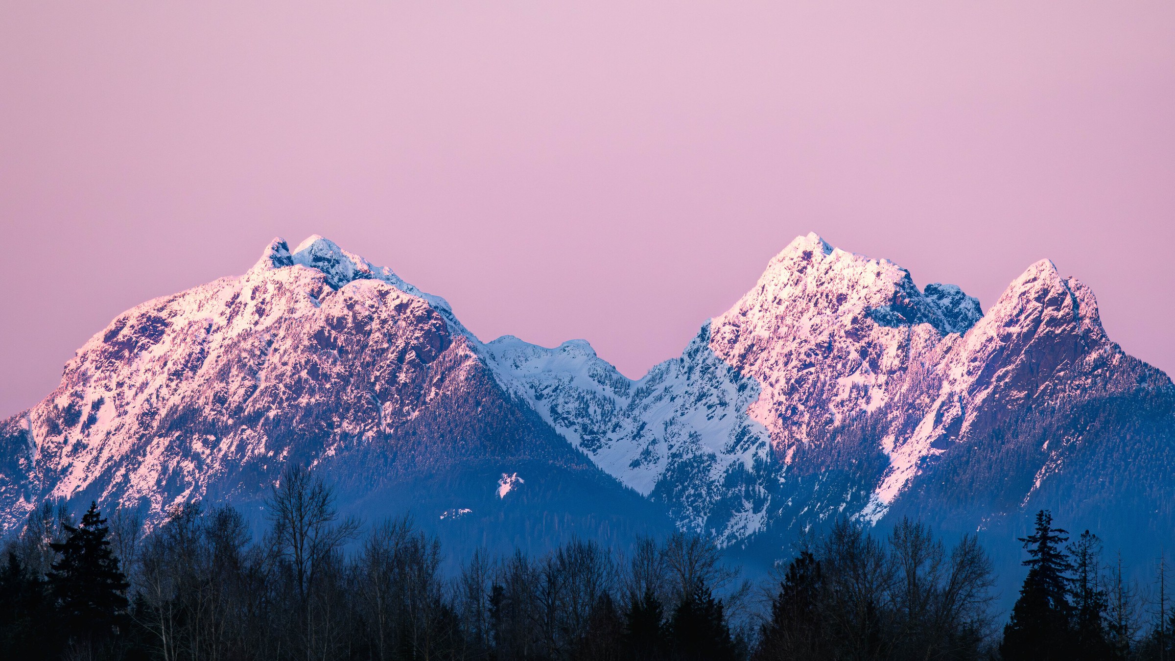 The twin summits of Golden Ears lit pink by alpenglow above a dark blue ridge of forest, clear lilac sky behind.