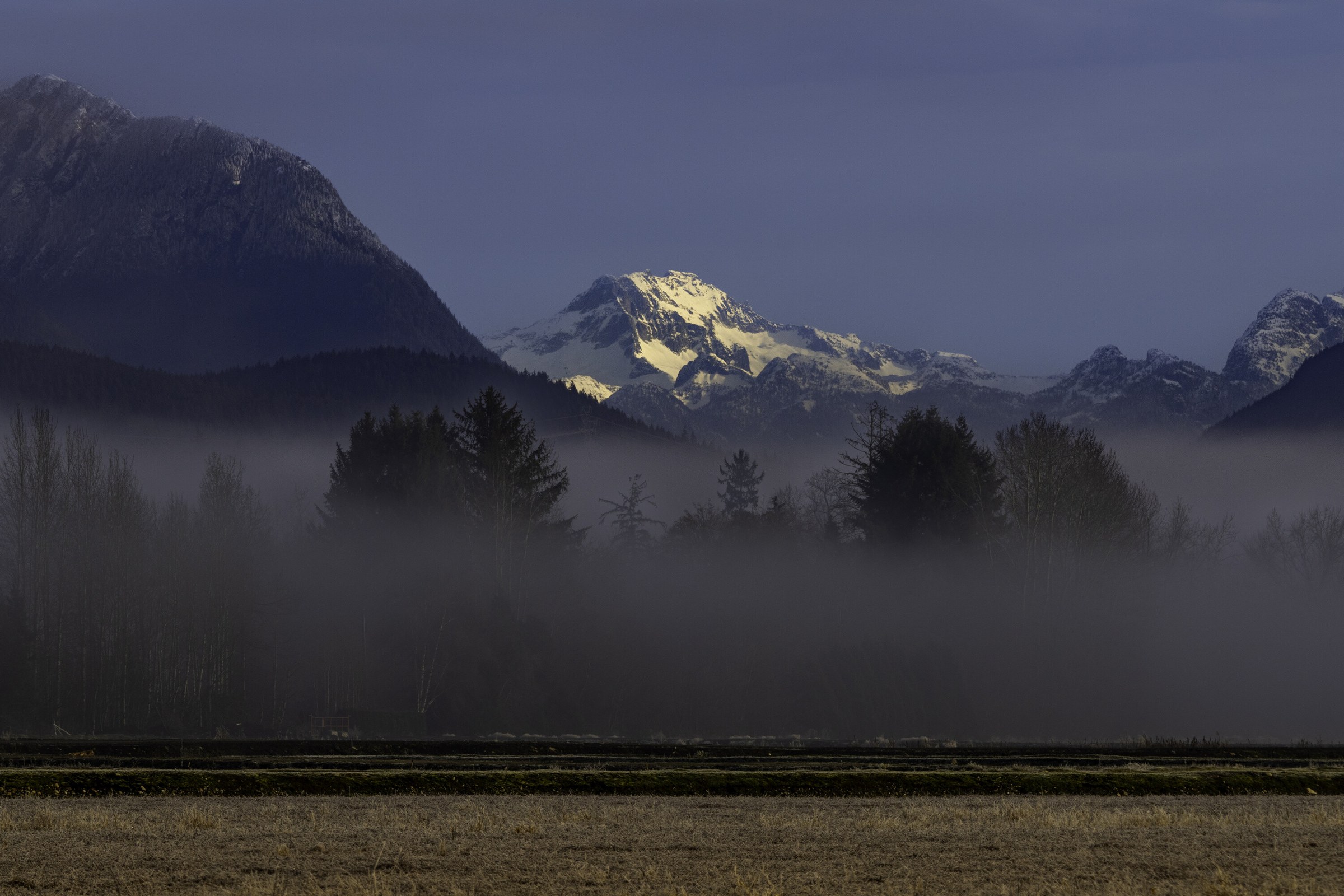 A snow-covered peak catching the last light above a bank of fog lying across dark trees and a flat harvested field in the foreground.