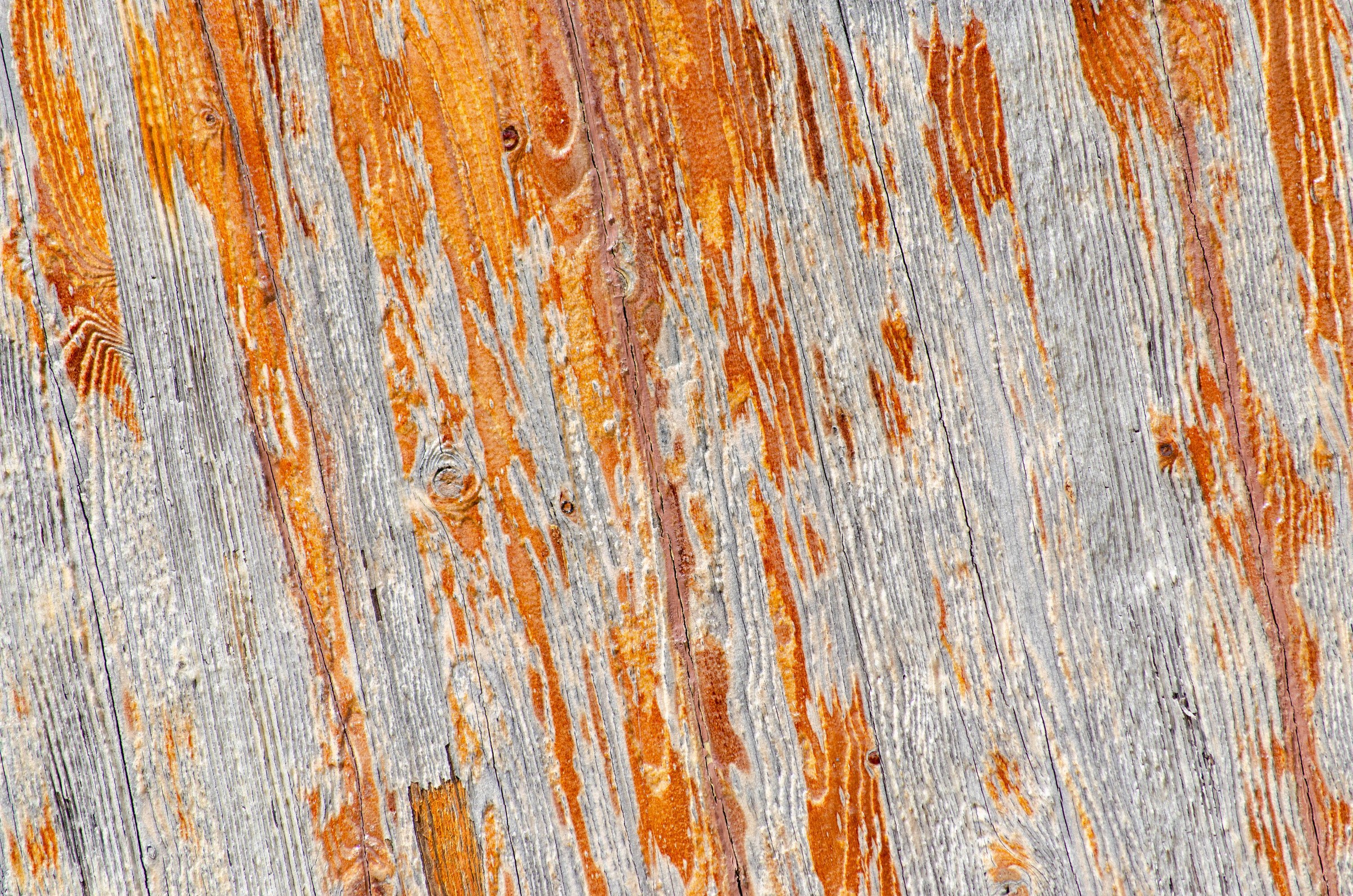 Flat frontal detail of weathered board, silver-grey grain broken by peeling orange paint running the full height of the frame.