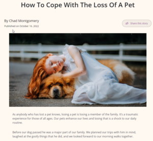 How To Cope With The Loss Of A Pet Content Writing
